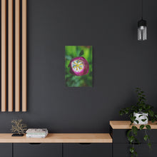 Load image into Gallery viewer, Pink Tulip Close-Up Matte Canvas Print — Stretched Floral Wall Art