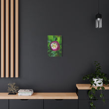 Load image into Gallery viewer, Pink Tulip Close-Up Matte Canvas Print — Stretched Floral Wall Art