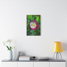 Load image into Gallery viewer, Pink Tulip Close-Up Matte Canvas Print — Stretched Floral Wall Art