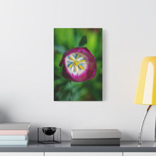 Load image into Gallery viewer, Pink Tulip Close-Up Matte Canvas Print — Stretched Floral Wall Art