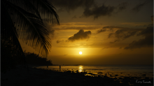 Load image into Gallery viewer, Main image Cayman Fisherman(alpha)
