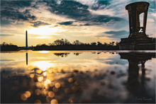 Load image into Gallery viewer, Main image NO TITLE