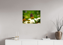 Load image into Gallery viewer, 24 x 18″, Glossy Canvas On Stretcher Frame Dibs!
