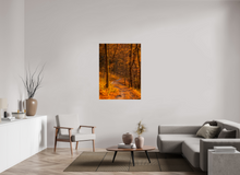 Load image into Gallery viewer, 36 x 48″, Photo Print On Fuji Crystal DP II NO TITLE
