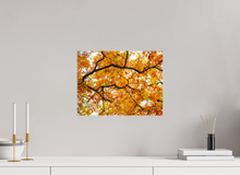 Load image into Gallery viewer, 16 x 12″, Photo Print On Fuji Crystal DP II NO TITLE
