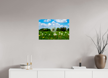 Load image into Gallery viewer, 24 x 16″, Glossy Canvas On Stretcher Frame Spring In The Park
