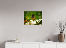 Load image into Gallery viewer, 24 x 18″, Photo Print On Fuji Crystal DP II Dibs!
