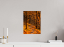 Load image into Gallery viewer, 12 x 16″, Photo Print On Fuji Crystal DP II NO TITLE
