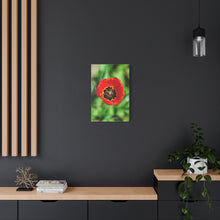 Load image into Gallery viewer, Red Tulip Close-Up Matte Canvas Print — Stretched Wall Art
