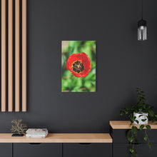 Load image into Gallery viewer, Red Tulip Close-Up Matte Canvas Print — Stretched Wall Art

