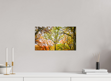 Load image into Gallery viewer, 16 x 9″, Glossy Canvas On Stretcher Frame NO TITLE
