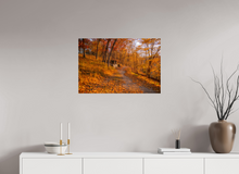 Load image into Gallery viewer, 30 x 20″, Photo Print On Fuji Crystal DP II NO TITLE
