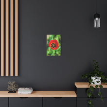 Load image into Gallery viewer, Red Tulip Close-Up Matte Canvas Print — Stretched Wall Art
