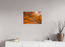 Load image into Gallery viewer, 24 x 16″, Glossy Canvas On Stretcher Frame NO TITLE
