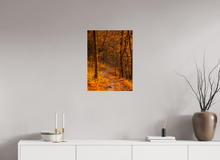 Load image into Gallery viewer, 18 x 24″, Photo Print On Fuji Crystal DP II NO TITLE
