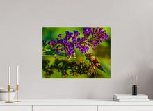 Load image into Gallery viewer, 20 x 15″, Photo Print On Fuji Crystal DP II Nature's Snack
