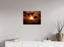 Load image into Gallery viewer, 24 x 18″, Photo Print On Fuji Crystal DP II Sunset Flowers
