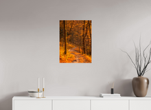 Load image into Gallery viewer, 18 x 24″, Glossy Canvas On Stretcher Frame NO TITLE
