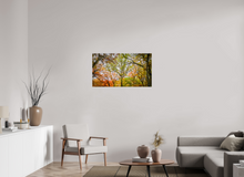 Load image into Gallery viewer, 40 x 22.5″, Photo Print On Fuji Crystal DP II NO TITLE
