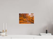 Load image into Gallery viewer, 12 x 8″, Glossy Canvas On Stretcher Frame NO TITLE
