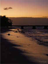 Load image into Gallery viewer, Main image Cayman Purple
