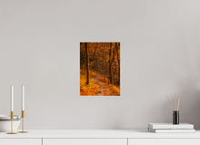 Load image into Gallery viewer, 9 x 12″, Photo Print On Fuji Crystal DP II NO TITLE

