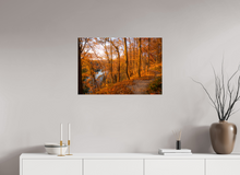 Load image into Gallery viewer, 30 x 20″, Glossy Canvas On Stretcher Frame NO TITLE
