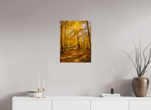 Load image into Gallery viewer, 18 x 24″, Photo Print On Fuji Crystal DP II NO TITLE
