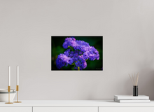 Load image into Gallery viewer, 15 x 10″, Photo Print On Fuji Crystal DP II Purp Alpha
