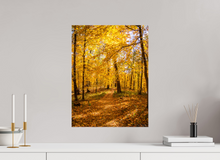 Load image into Gallery viewer, 15 x 20″, Glossy Canvas On Stretcher Frame NO TITLE
