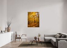 Load image into Gallery viewer, 36 x 48″, Photo Print On Fuji Crystal DP II NO TITLE
