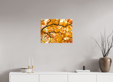 Load image into Gallery viewer, 24 x 18″, Glossy Canvas On Stretcher Frame NO TITLE
