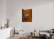 Load image into Gallery viewer, 30 x 40″, Photo Print On Fuji Crystal DP II NO TITLE
