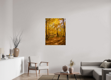 Load image into Gallery viewer, 30 x 40″, Photo Print On Fuji Crystal DP II NO TITLE
