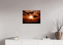 Load image into Gallery viewer, 24 x 18″, Glossy Canvas On Stretcher Frame Sunset Flowers
