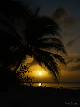 Load image into Gallery viewer, Main image Cayman Fisherman(beta)
