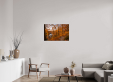 Load image into Gallery viewer, 36 x 24″, Photo Print On Fuji Crystal DP II NO TITLE
