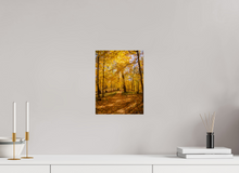 Load image into Gallery viewer, 9 x 12″, Photo Print On Fuji Crystal DP II NO TITLE
