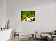 Load image into Gallery viewer, 40 x 30″, Glossy Canvas On Stretcher Frame Dibs!
