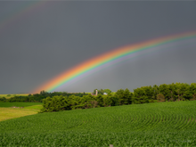 Load image into Gallery viewer, Main image NO TITLE
