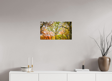 Load image into Gallery viewer, 24 x 13.5″, Glossy Canvas On Stretcher Frame NO TITLE
