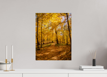 Load image into Gallery viewer, 15 x 20″, Photo Print On Fuji Crystal DP II NO TITLE
