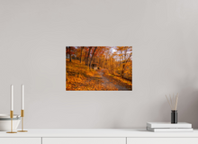 Load image into Gallery viewer, 15 x 10″, Photo Print On Fuji Crystal DP II NO TITLE
