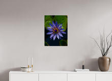 Load image into Gallery viewer, 18 x 24″, Photo Print On Fuji Crystal DP II Purp Petal
