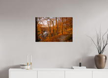Load image into Gallery viewer, 30 x 20″, Photo Print On Fuji Crystal DP II NO TITLE
