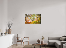Load image into Gallery viewer, 40 x 22.5″, Glossy Canvas On Stretcher Frame NO TITLE
