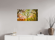 Load image into Gallery viewer, 32 x 18″, Glossy Canvas On Stretcher Frame NO TITLE
