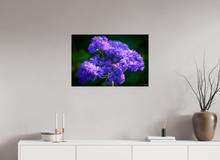 Load image into Gallery viewer, 30 x 20″, Glossy Canvas On Stretcher Frame Purp Alpha
