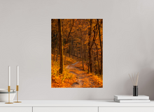 Load image into Gallery viewer, 15 x 20″, Photo Print On Fuji Crystal DP II NO TITLE
