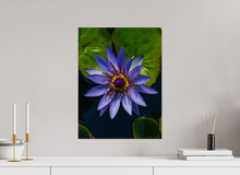 Load image into Gallery viewer, 15 x 20″, Glossy Canvas On Stretcher Frame Purp Petal
